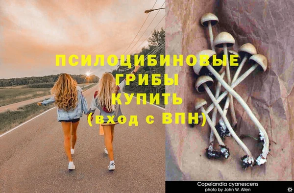 марки lsd Заволжск