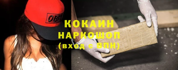 твердый Заводоуковск