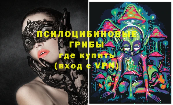 твердый Заводоуковск