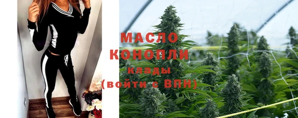 твердый Заводоуковск